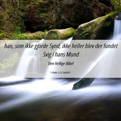 Picture 06 - 1 Peter 2:22 DA1871 - han, som ikke gjorde Synd, ikke heller blev der - Bible Verse Picture