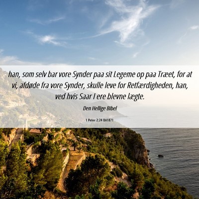 Picture 06 - 1 Peter 2:24 DA1871 - han, som selv bar vore Synder paa sit Legeme op - Bible Verse Picture