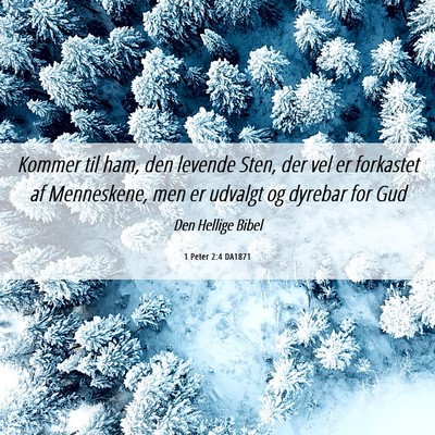 Picture 06 - 1 Peter 2:4 DA1871 - Kommer til ham, den levende Sten, der vel er - Bible Verse Picture