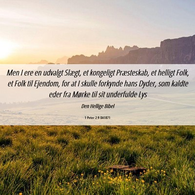 Picture 06 - 1 Peter 2:9 DA1871 - Men I ere en udvalgt Slægt, et kongeligt - Bible Verse Picture
