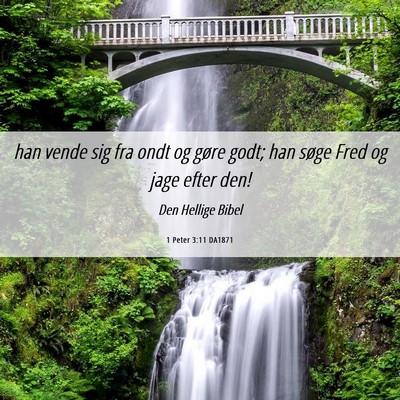 Picture 06 - 1 Peter 3:11 DA1871 - han vende sig fra ondt og gøre godt; han søge - Bible Verse Picture