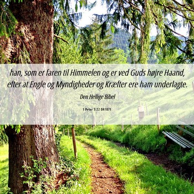 Picture 06 - 1 Peter 3:22 DA1871 - han, som er faren til Himmelen og er ved Guds - Bible Verse Picture