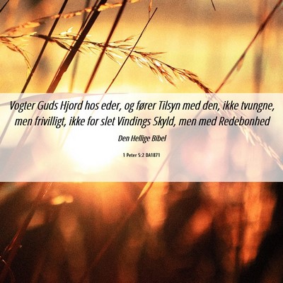 Picture 06 - 1 Peter 5:2 DA1871 - Vogter Guds Hjord hos eder, og fører Tilsyn med - Bible Verse Picture