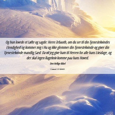 Picture 06 - 1 Samuel 1:11 DA1871 - Og hun lovede et Løfte og sagde: Herre Zebaoth, - Bible Verse Picture