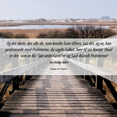Picture 06 - 1 Samuel 10:11 DA1871 - Og det skete, der alle de, som kendte ham - Bible Verse Picture