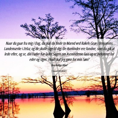 Picture 06 - 1 Samuel 10:2 DA1871 - Naar du gaar fra mig i Dag, da skal du finde to - Bible Verse Picture