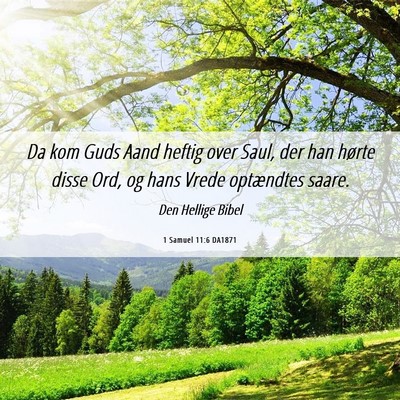 Picture 06 - 1 Samuel 11:6 DA1871 - Da kom Guds Aand heftig over Saul, der han hørte - Bible Verse Picture