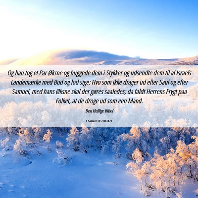 Picture 06 - 1 Samuel 11:7 DA1871 - Og han tog et Par Øksne og huggede dem i Stykker - Bible Verse Picture