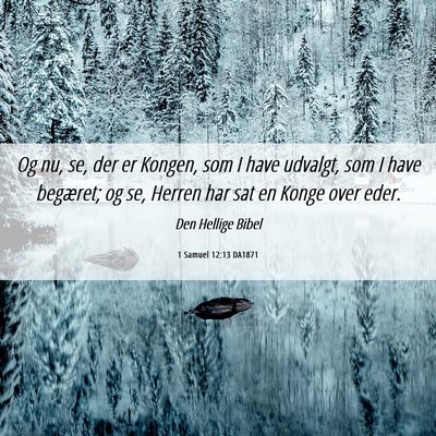 Picture 06 - 1 Samuel 12:13 DA1871 - Og nu, se, der er Kongen, som I have udvalgt, som - Bible Verse Picture
