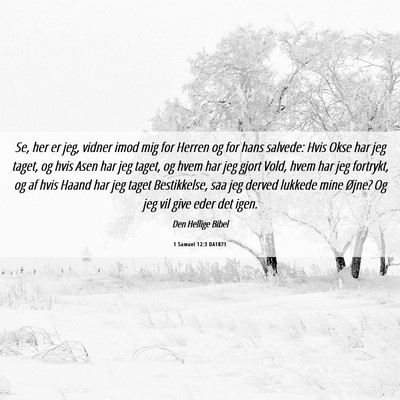 Picture 06 - 1 Samuel 12:3 DA1871 - Se, her er jeg, vidner imod mig for Herren og for - Bible Verse Picture