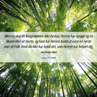 Picture 06 - 1 Samuel 13:14 DA1871 - Men nu skal dit Kongedømme ikke bestaa; Herren - Bible Verse Picture