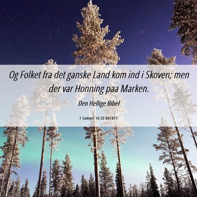 Picture 06 - 1 Samuel 14:25 DA1871 - Og Folket fra det ganske Land kom ind i Skoven; - Bible Verse Picture