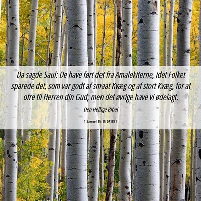 Picture 06 - 1 Samuel 15:15 DA1871 - Da sagde Saul: De have ført det fra - Bible Verse Picture