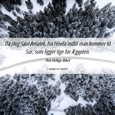 Picture 06 - 1 Samuel 15:7 DA1871 - Da slog Saul Amalek, fra Hevila indtil man kommer - Bible Verse Picture