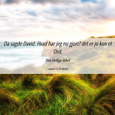 Picture 06 - 1 Samuel 17:29 DA1871 - Da sagde David: Hvad har jeg nu gjort? det er jo - Bible Verse Picture