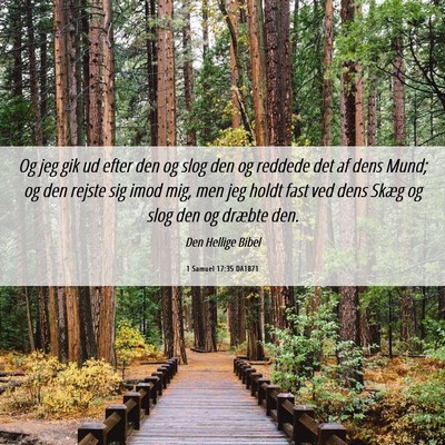 Picture 06 - 1 Samuel 17:35 DA1871 - Og jeg gik ud efter den og slog den og reddede - Bible Verse Picture