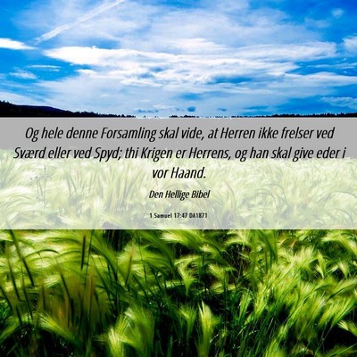Picture 06 - 1 Samuel 17:47 DA1871 - Og hele denne Forsamling skal vide, at Herren - Bible Verse Picture