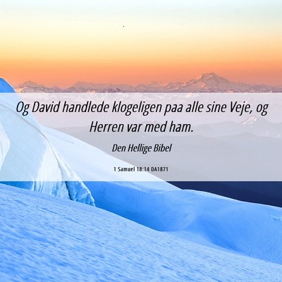 Picture 06 - 1 Samuel 18:14 DA1871 - Og David handlede klogeligen paa alle sine Veje, - Bible Verse Picture