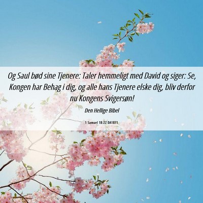 Picture 06 - 1 Samuel 18:22 DA1871 - Og Saul bød sine Tjenere: Taler hemmeligt med - Bible Verse Picture