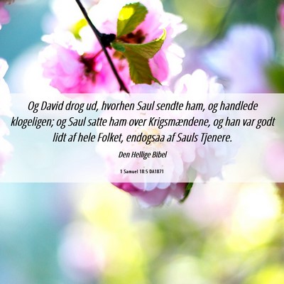 Picture 06 - 1 Samuel 18:5 DA1871 - Og David drog ud, hvorhen Saul sendte ham, og - Bible Verse Picture