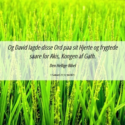 Picture 06 - 1 Samuel 21:12 DA1871 - Og David lagde disse Ord paa sit Hjerte og - Bible Verse Picture