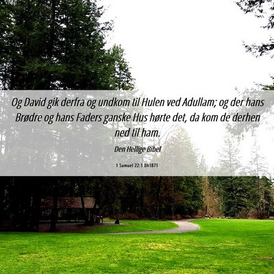 Picture 06 - 1 Samuel 22:1 DA1871 - Og David gik derfra og undkom til Hulen ved - Bible Verse Picture