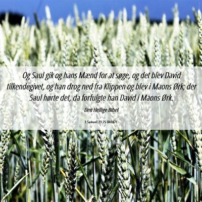 Picture 06 - 1 Samuel 23:25 DA1871 - Og Saul gik og hans Mænd for at søge, og det - Bible Verse Picture