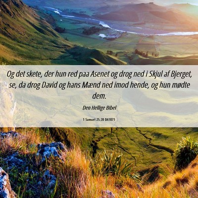 Picture 06 - 1 Samuel 25:20 DA1871 - Og det skete, der hun red paa Asenet og drog ned - Bible Verse Picture