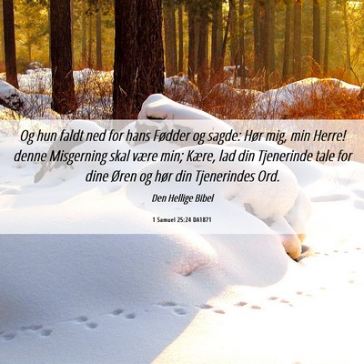 Picture 06 - 1 Samuel 25:24 DA1871 - Og hun faldt ned for hans Fødder og sagde: Hør - Bible Verse Picture