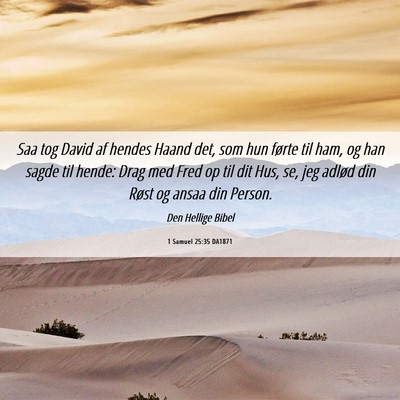 Picture 06 - 1 Samuel 25:35 DA1871 - Saa tog David af hendes Haand det, som hun førte - Bible Verse Picture