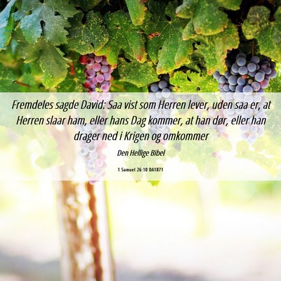 Picture 06 - 1 Samuel 26:10 DA1871 - Fremdeles sagde David: Saa vist som Herren lever, - Bible Verse Picture