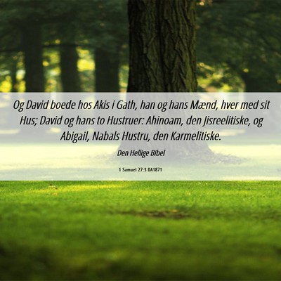 Picture 06 - 1 Samuel 27:3 DA1871 - Og David boede hos Akis i Gath, han og hans - Bible Verse Picture
