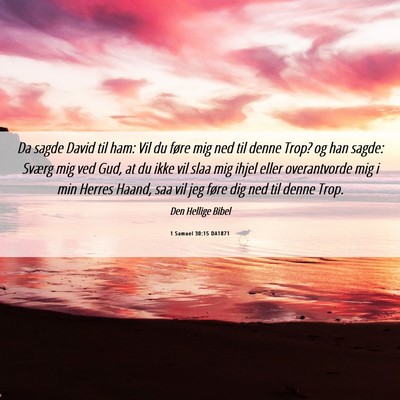 Picture 06 - 1 Samuel 30:15 DA1871 - Da sagde David til ham: Vil du føre mig ned til - Bible Verse Picture