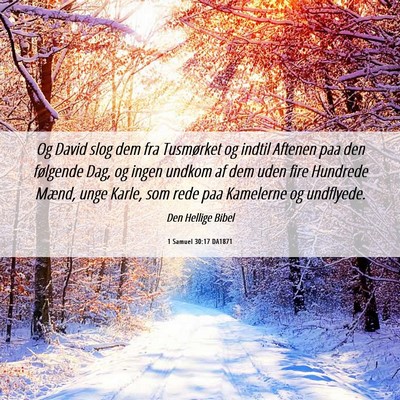 Picture 06 - 1 Samuel 30:17 DA1871 - Og David slog dem fra Tusmørket og indtil - Bible Verse Picture