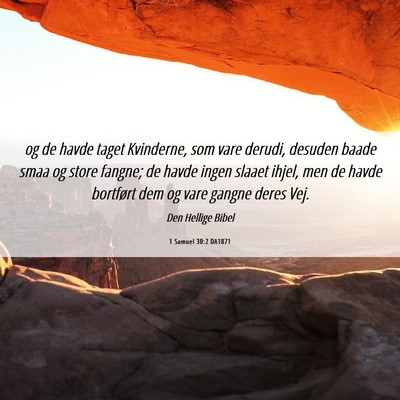 Picture 06 - 1 Samuel 30:2 DA1871 - og de havde taget Kvinderne, som vare derudi, - Bible Verse Picture