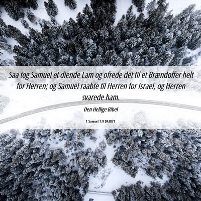 Picture 06 - 1 Samuel 7:9 DA1871 - Saa tog Samuel et diende Lam og ofrede det til et - Bible Verse Picture