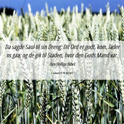 Picture 06 - 1 Samuel 9:10 DA1871 - Da sagde Saul til sin Dreng: Dit Ord er godt, - Bible Verse Picture