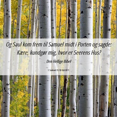 Picture 06 - 1 Samuel 9:18 DA1871 - Og Saul kom frem til Samuel midt i Porten og - Bible Verse Picture