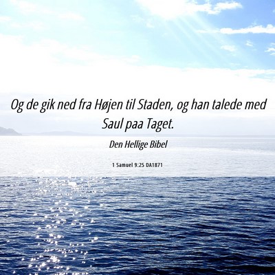 Picture 06 - 1 Samuel 9:25 DA1871 - Og de gik ned fra Højen til Staden, og han - Bible Verse Picture