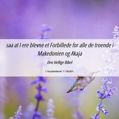 Picture 06 - 1 Tessalonikerne 1:7 DA1871 - saa at I ere blevne et Forbillede for alle de - Bible Verse Picture