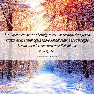 Picture 06 - 1 Tessalonikerne 2:14 DA1871 - Thi I, Brødre! ere blevne Efterfølgere af Guds - Bible Verse Picture