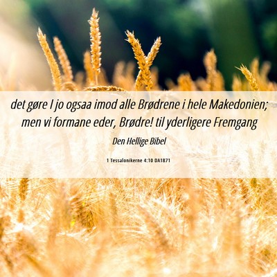 Picture 06 - 1 Tessalonikerne 4:10 DA1871 - det gøre I jo ogsaa imod alle Brødrene i hele - Bible Verse Picture