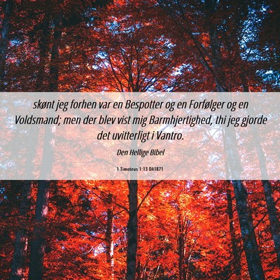 Picture 06 - 1 Timoteus 1:13 DA1871 - skønt jeg forhen var en Bespotter og en - Bible Verse Picture