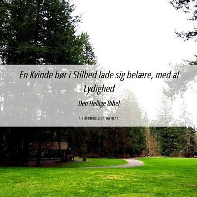 Picture 06 - 1 Timoteus 2:11 DA1871 - En Kvinde bør i Stilhed lade sig belære, med al - Bible Verse Picture
