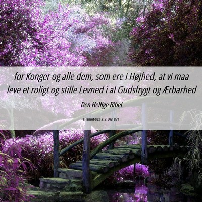 Picture 06 - 1 Timoteus 2:2 DA1871 - for Konger og alle dem, som ere i Højhed, at vi - Bible Verse Picture