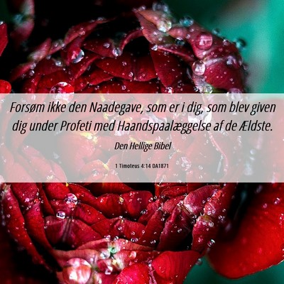 Picture 06 - 1 Timoteus 4:14 DA1871 - Forsøm ikke den Naadegave, som er i dig, som - Bible Verse Picture
