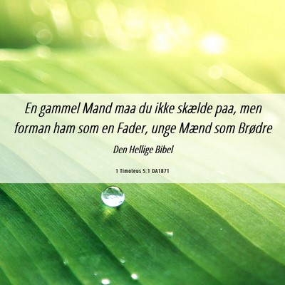 Picture 06 - 1 Timoteus 5:1 DA1871 - En gammel Mand maa du ikke skælde paa, men - Bible Verse Picture