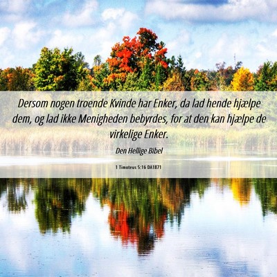 Picture 06 - 1 Timoteus 5:16 DA1871 - Dersom nogen troende Kvinde har Enker, da lad - Bible Verse Picture