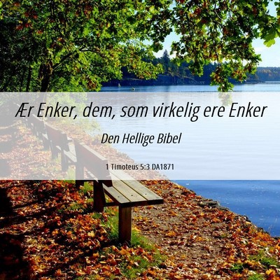 Picture 06 - 1 Timoteus 5:3 DA1871 - Ær Enker, dem, som virkelig ere - Bible Verse Picture