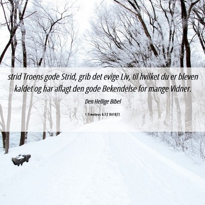 Picture 06 - 1 Timoteus 6:12 DA1871 - strid Troens gode Strid, grib det evige Liv, til - Bible Verse Picture